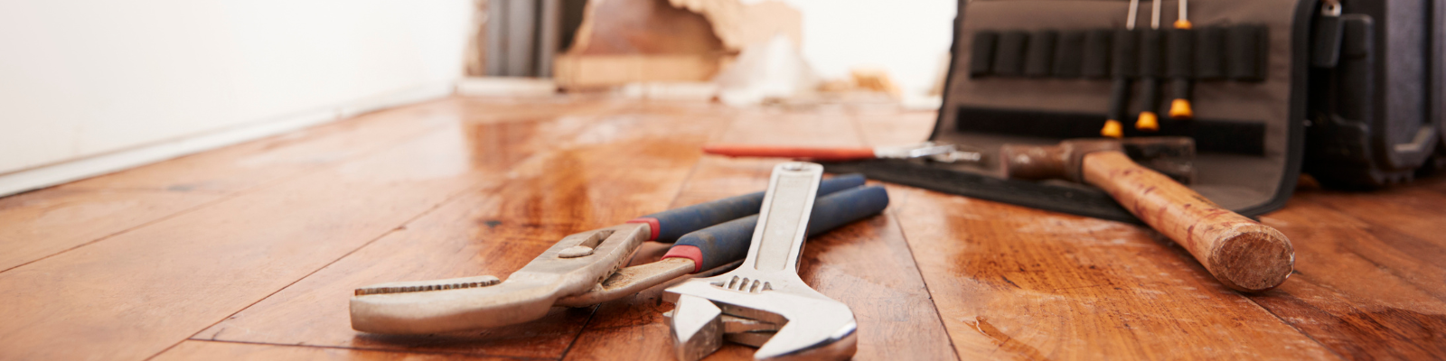 Jetzt bewerben: 0391 7912901